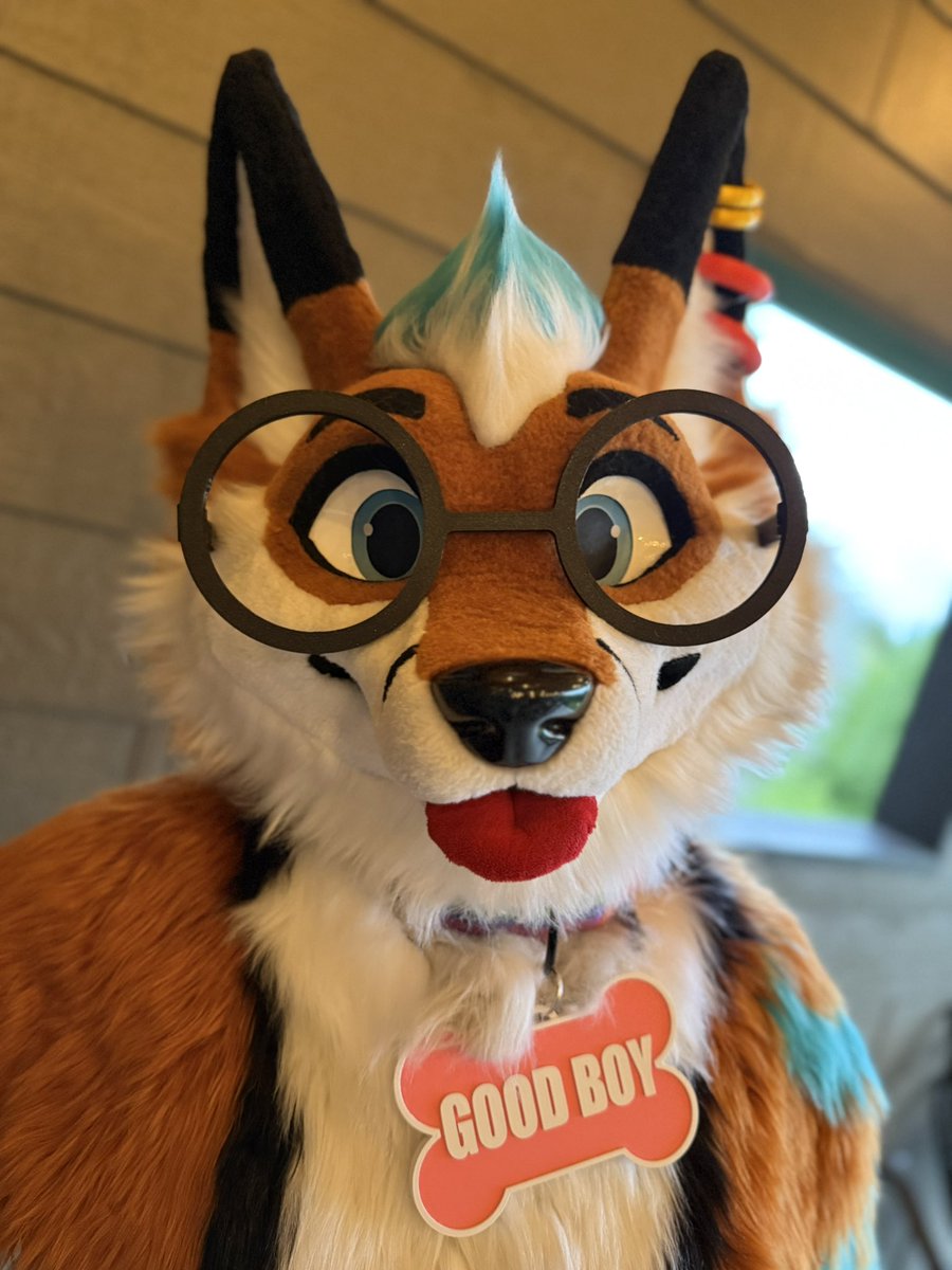 Blep 🇨🇦🏳️‍🌈🦊 tweet media