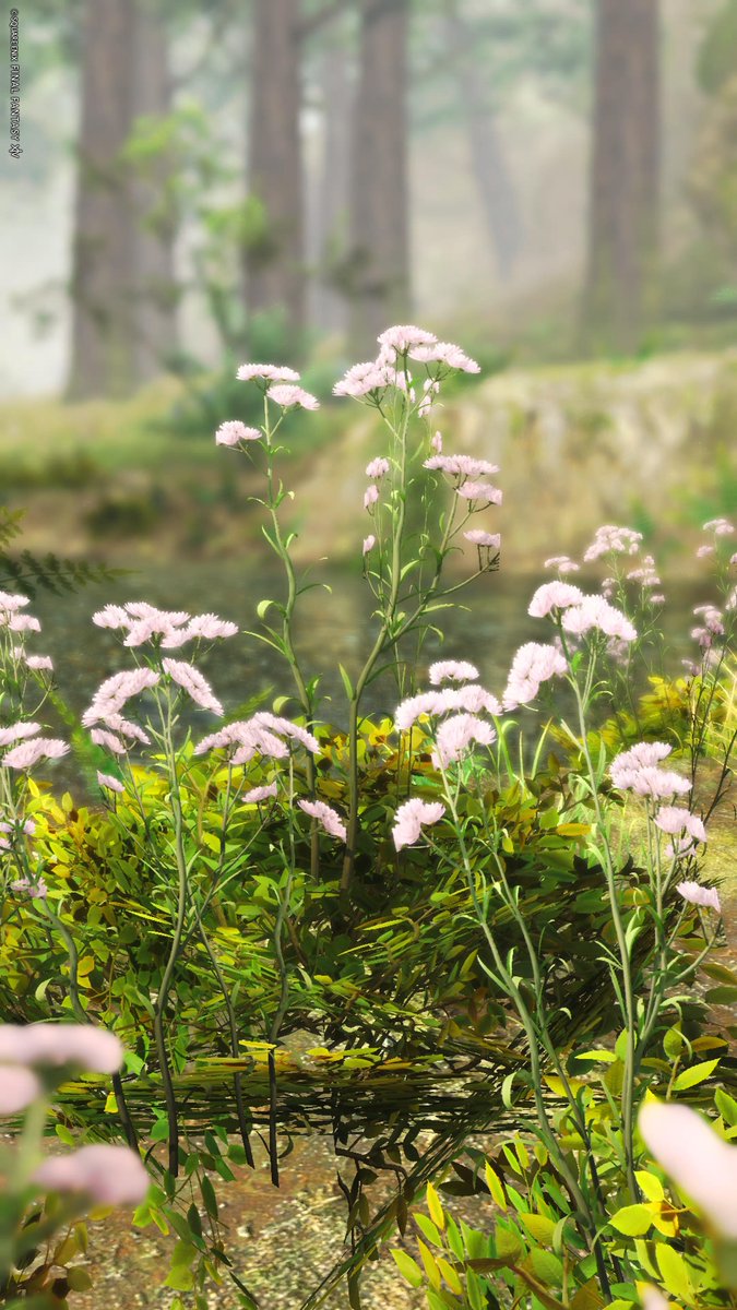 🌫️🌱🌼🟦

#FF14風景