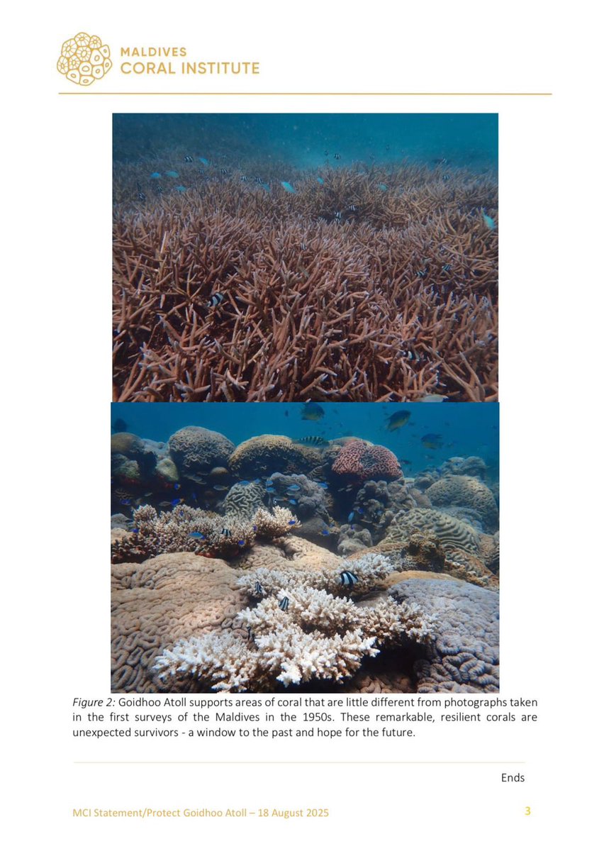 We call for protection of Goidhoo Atoll’s exceptional marine environment.

The atoll’s remarkable corals, some hundreds of years old, have survived bleaching, defying national and global losses.

It’s natural assets are nationally and internationally important and irreplaceable.