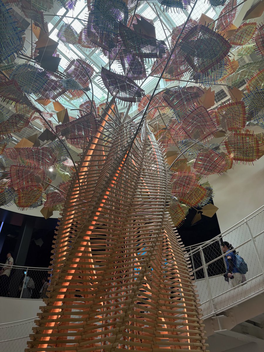 ボルネオ島 サバ州政府観光局【公式】🇲🇾 tweet media