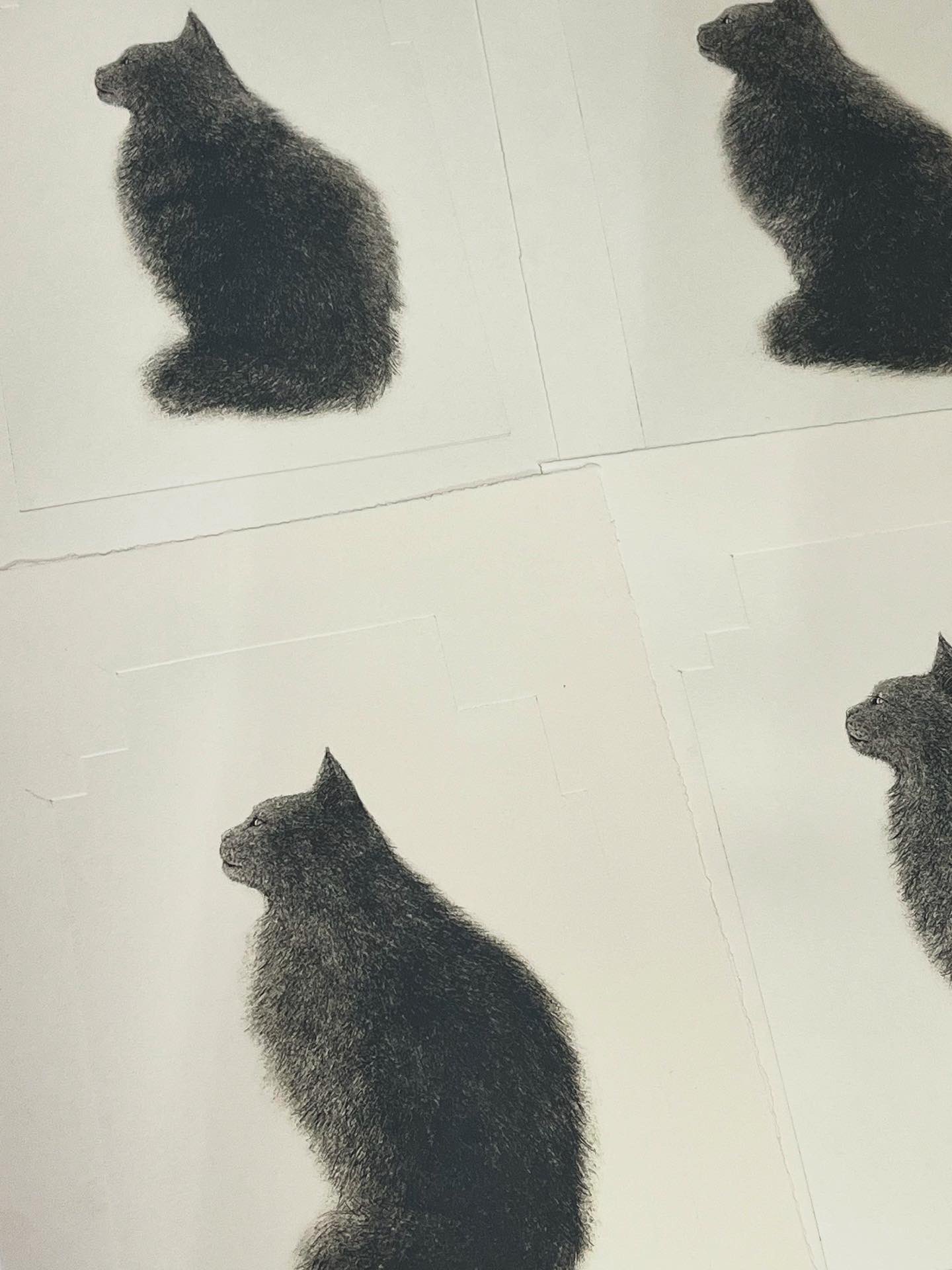 坂本千明さん キジトラ猫 紙版画 坂本千明さんの猫はがきが届いています。 - shop+space ひめくり