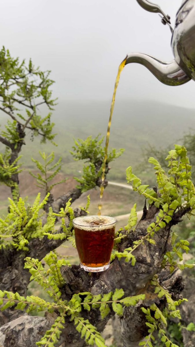 د.علي الدرعي tweet media