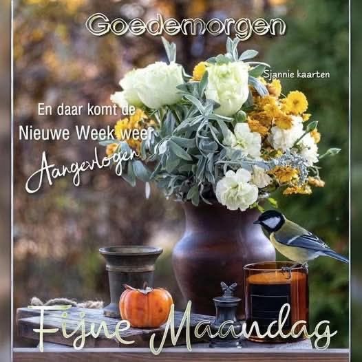 Goedemorgen iedereen