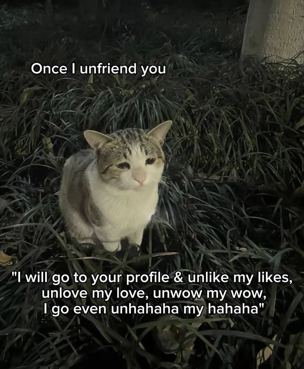 Respectful Memes (@respectfulmemes) on Twitter photo 