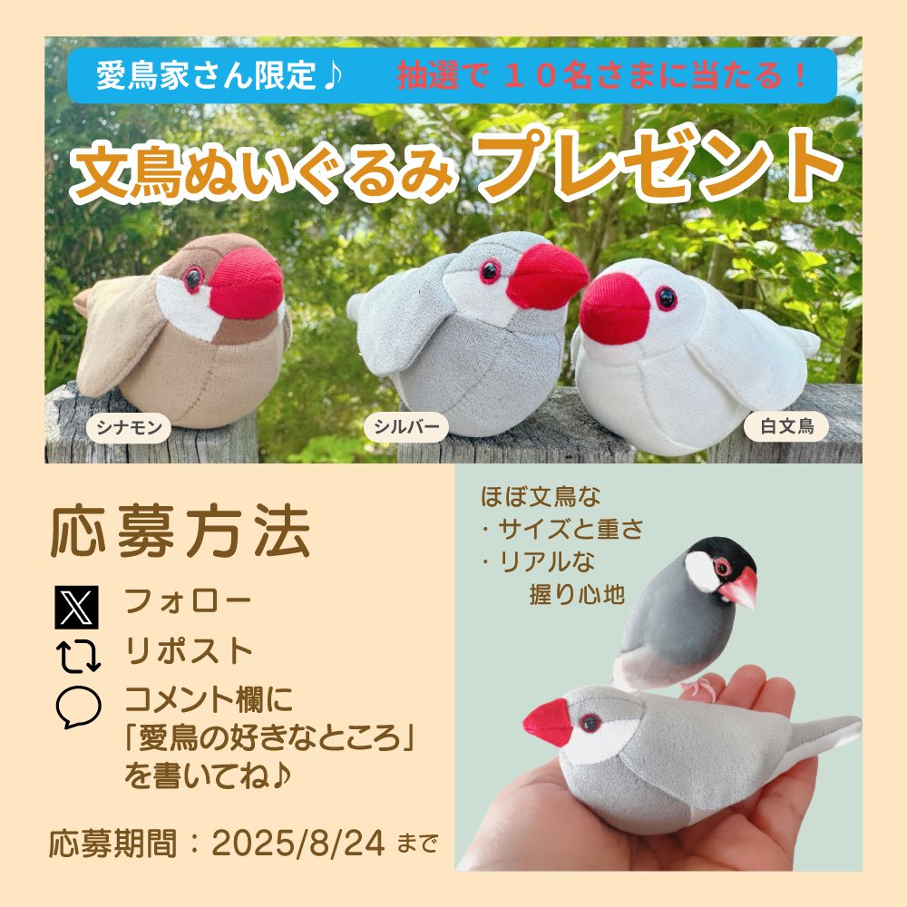 hina_chan29's tweet photo. 🐥✨ 手のひら文鳥ぬいぐるみ プレゼント企画 ✨🐥
＼愛鳥家さん限定！／

ほぼ文鳥なサイズと重さの「手のひら文鳥ぬいぐるみ」を
【抽選で１０名様】にプレゼント🎁
※当選後に、シナモンorシルバーor白 をお選びください

応募方法
① このアカウントをフォロー
② このポストをリポスト
③ コメント欄に「愛鳥さんの好きなところ」を書いてね
（※オリジナルのこのポストにコメントしてくださった方が対象です）

📅 締切：8月24日（日） 23:59
当選発表はポスト＆DMでお知らせします💌

あなたの愛鳥エピソードなど、楽しみにしてます🐦💓

#文鳥 #桜文鳥 #白文鳥 #シナモン文鳥 #白文鳥 #文鳥好きさんと繋がりたい
#鳥のいる暮らし #鳥 #文鳥かわいい #文鳥ぬいぐるみ