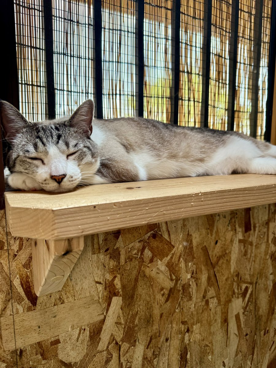 まめちゃんのような、小さくて指先に骨の存在を感じる程か細い子を