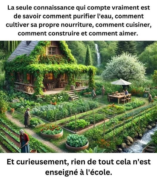 Anna_C_moi's tweet photo. https://t.co/qVCmtUiZHa