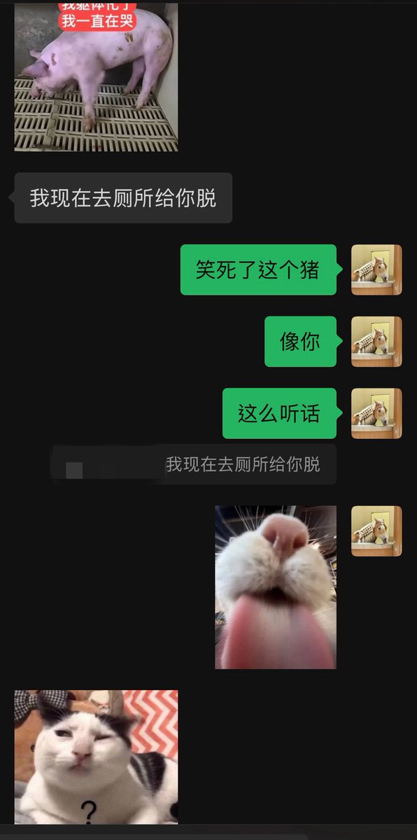 一格电羊羊 tweet media