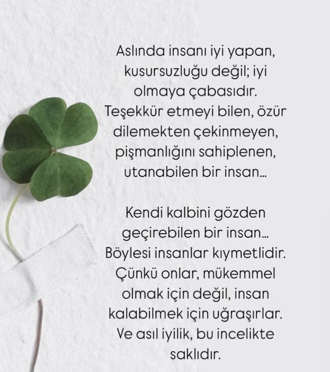 Zübeyit yücel (@zubeyityucel) on Twitter photo 