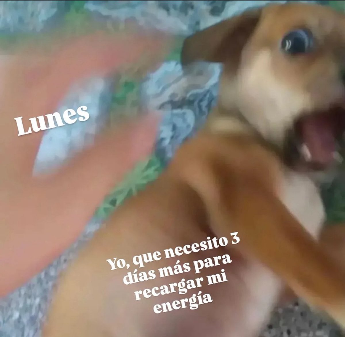 Here we go again…