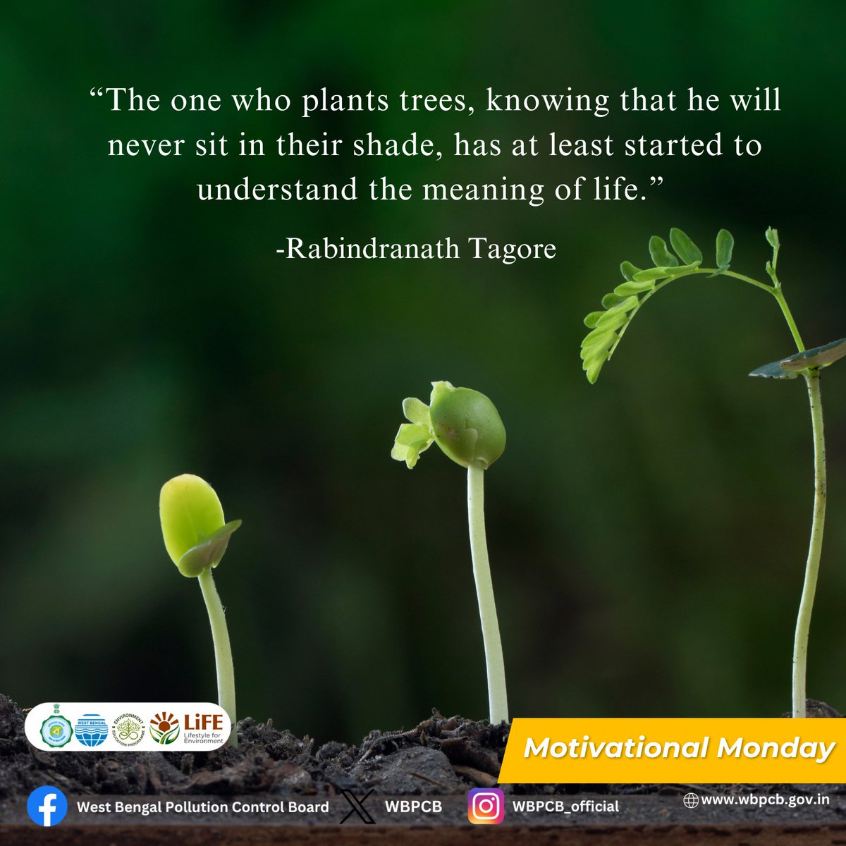 Plant today for a tomorrow you may never see — that’s the true meaning of life.

#MotivationalMonday