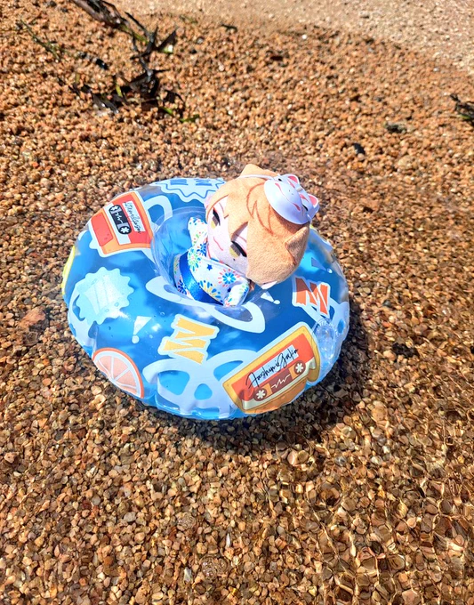 ぱぺ、はじめての海に挑戦