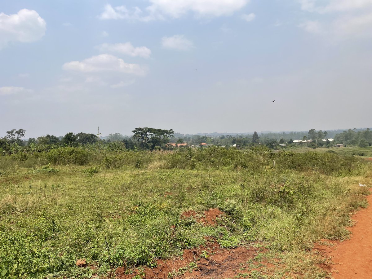 bruno_akampa's tweet image. Selling Land in different areas!

- Kira
- Bulindo
- Nabusugwe
- Kitukutwe
- Nakwero-Nakasajja

• Busukuma
• Kiwenda
• Busiika
• Zirobwe

* Bwebajja
* Kawuku
* Kasanje
• Bwerenga
* Lutembe

✓ Mityana Road
✓ Kayunga
✓ Wakiso-Namusera
✓ Kakiri

- Mbarara
- Lake Bunyonyi