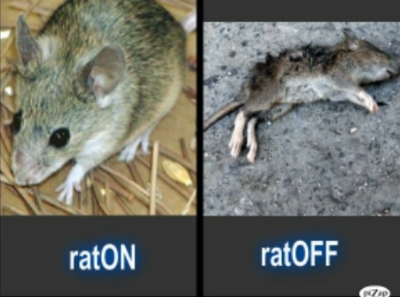 Goold (@thirdtn) on Twitter photo 