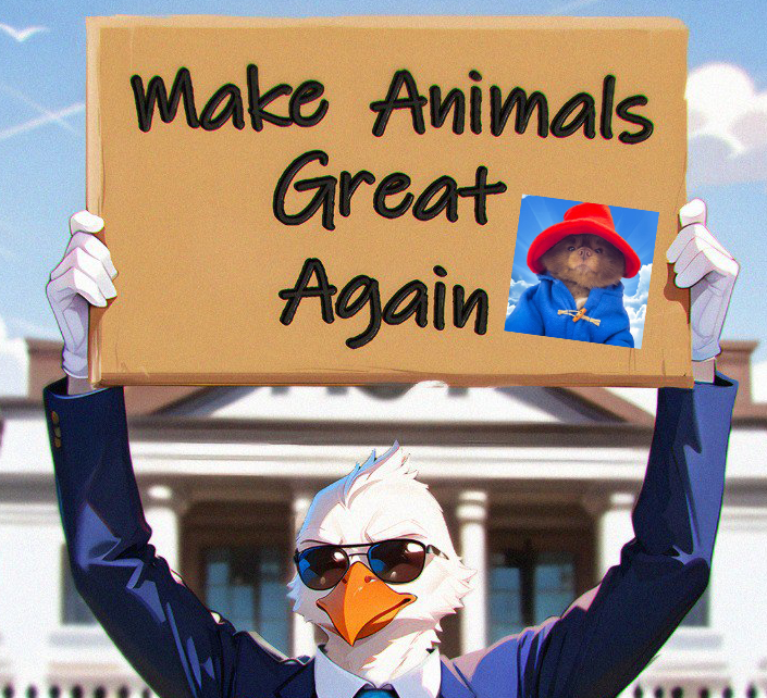 StrategicSuperR's tweet photo. We're adding more $BERT @bertcoincto to the Strategic Solana Reserve.  Why?  

1. The lore is awesome. Bert was an adopted abandoned pup, who passed away just as he was about to become the Honorary Dog Mayor of New York. The internet's heart melted when they saw Bert dressed as Paddington Bear, and crypto went wild, swarming the contest with votes.

2. We love CTOs. Many folks know that our dev @enigmafund developed his love of memes being a part of the $TOSHI CTO. CTOs don't have huge backers waiting to rain down pain, and usually present true community effort and belief. 

The community stepped up to CTO the project and it's never been stronger. They have one of the best communities on @pumpdotfun and @solana. 

3. Strong voices backing the project like @trader1sz @TraderrNJ1 @btc_charlie and partnerships with @Zebec_HQ.

4. BERT had a strong run to $200M and while the chart took a knock, strong hands stepped in and have continuously driven a powerful rising floor.

5. The are developing a host of great tools like @woofhub for pet lovers and have donated over 7 tons of dog food to shelters!

We see T1 listings as an inevitability in the future, but more importantly: The community is pure fire and unreasonably relentless. Constantly creative and always showing up.
