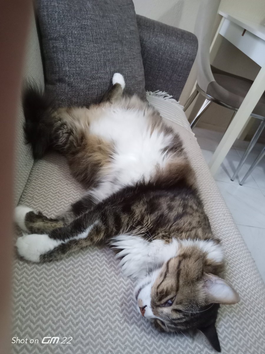 Günaydın insanoğlu 🍀☕🍀