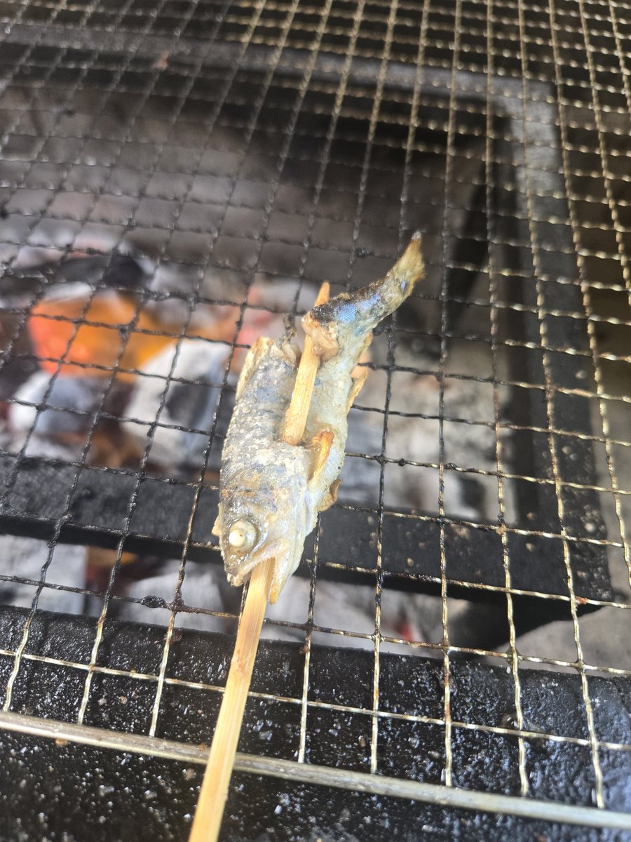 avabei's tweet image. 中津川でモリで稚魚ついてきたやつがいた…