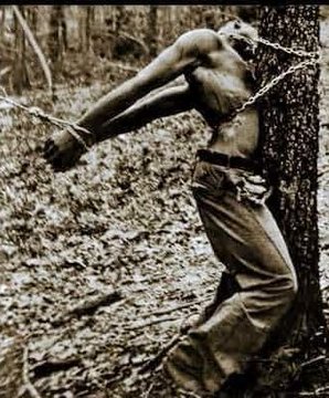 Animal_Conect's tweet photo. Where was GOD during Slavery in Africa? https://t.co/bGkreBA6oG