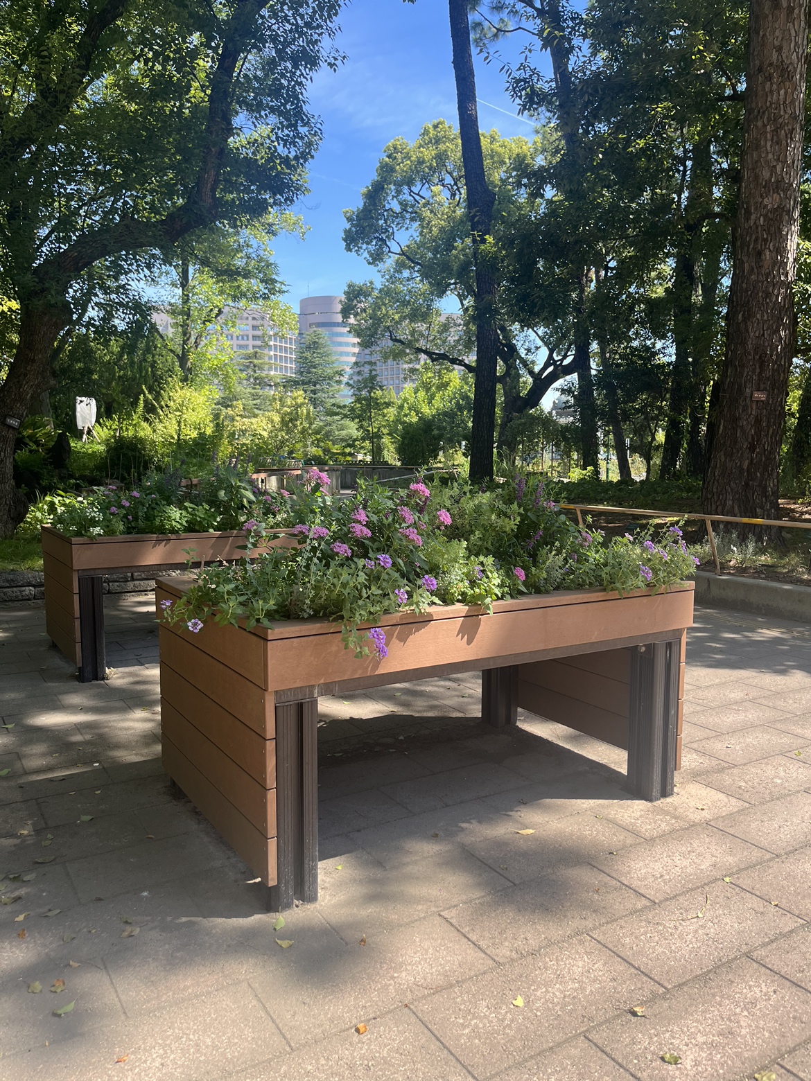 お花畑でラッタッタ！ 鶴舞公園 on X: 