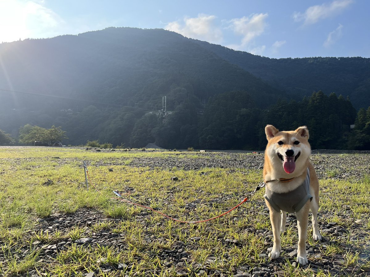 チャレンジ2年〜5年   1〜29 チャレンジ2年〜5年 1〜29