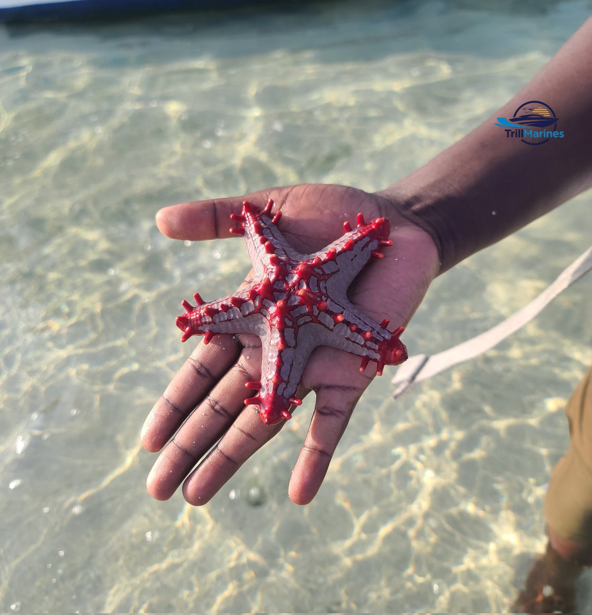 Trill Marines Ug 🇺🇬 tweet media