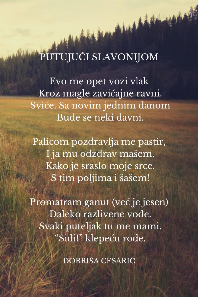 Slavonija naša, nepregledne ravnice koje se u daljini stapaju sa obzorom #poezija #Slavonija #Hrvatska