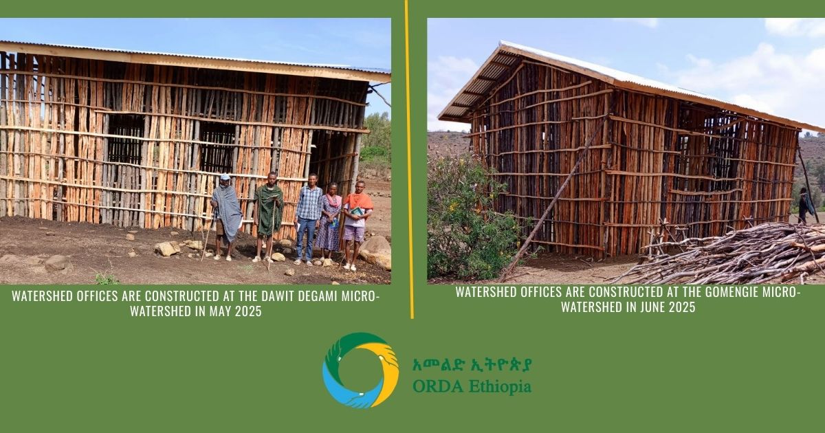 ORDA Ethiopia Official (@officialorda) on Twitter photo 🌿 ORDA Ethiopia is driving climate resilience in North Gojjam through the #ReversingTheFlow project with support from <a href="/DutchMFA/">Dutch Ministry of Foreign Affairs 🇳🇱</a> & @RvO_Nederland!
✅ 6 watershed cooperatives
✅ 12+ ha restored
✅ 2 wells rehabilitated (93 HHs)
✅ 6 watershed offices built
✅ 63% budget used 🌿 ORDA Ethiopia is driving climate resilience in North Gojjam through the #ReversingTheFlow project with support from <a href="/DutchMFA/">Dutch Ministry of Foreign Affairs 🇳🇱</a> & @RvO_Nederland!
✅ 6 watershed cooperatives
✅ 12+ ha restored
✅ 2 wells rehabilitated (93 HHs)
✅ 6 watershed offices built
✅ 63% budget used
