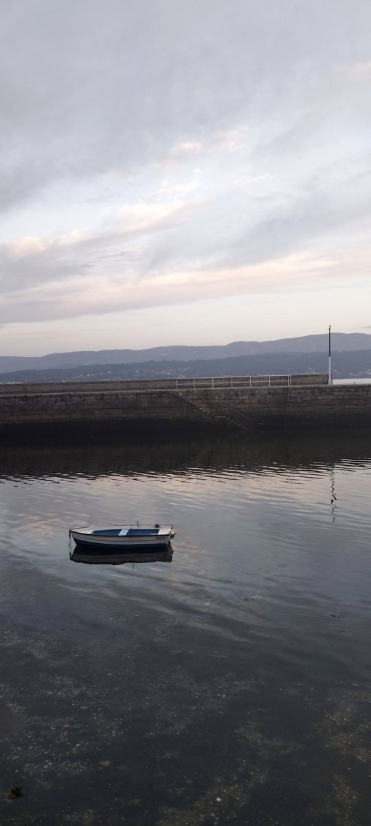 Naia (@naia__earth) on Twitter photo 