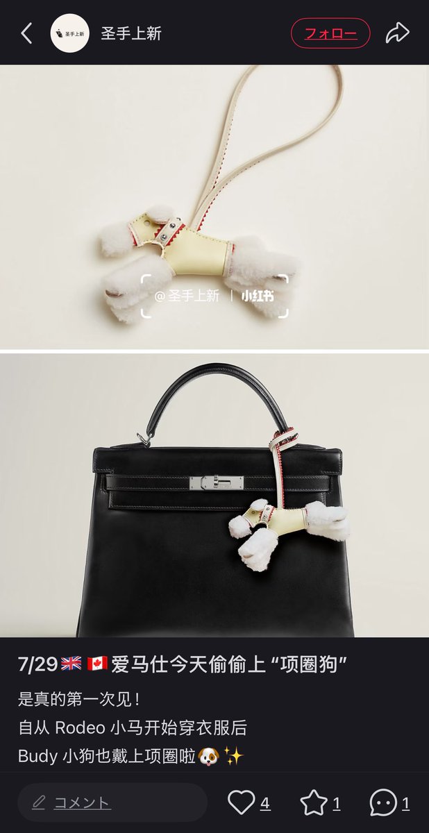 この子ゴールドもいるんだ！可愛い〜〜🤎カラー展開結構ありそう