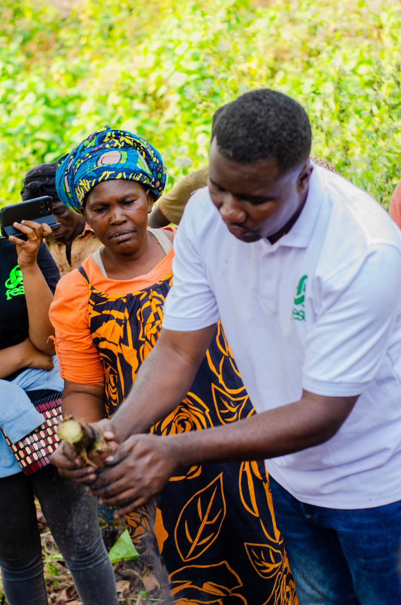 💚 Avec FESO, les femmes ne sont pas de simples actrices de l’agriculture : elles en sont les leaders. Par l’agroécologie, elles portent l’espoir d’une terre vivante et d’une alimentation saine pour tous. 🌱🌾 #Agroécologie #LeadershipFéminin