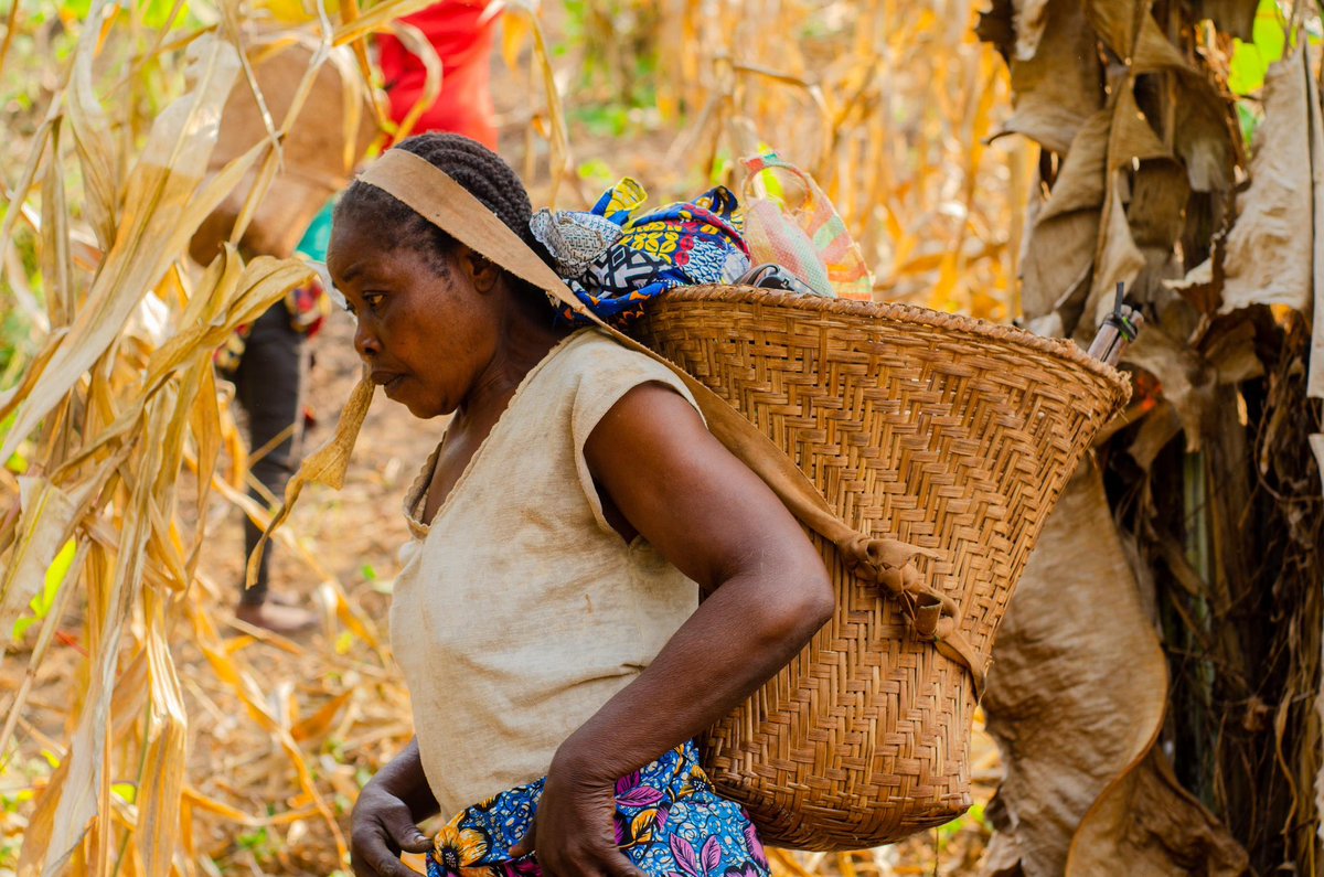 FESO (Femmes Solidaires) tweet media