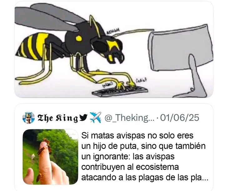 Blakepoison616's tweet photo. @DorianDori84193 @Alankgada @FLAMINGONEGRO2 No inventé nada, literalmente es él, pero como no lo conoces tu q vas a saber https://t.co/uq2QrRvxQI