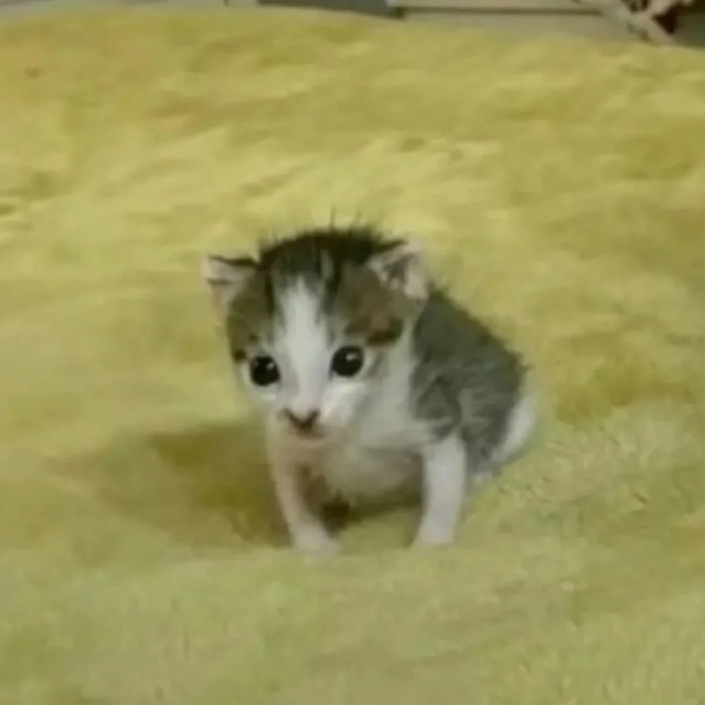 Bro is born few second ago..