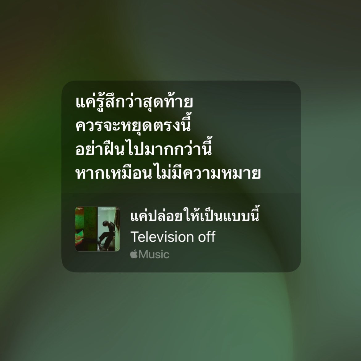 เจมี่ tweet media