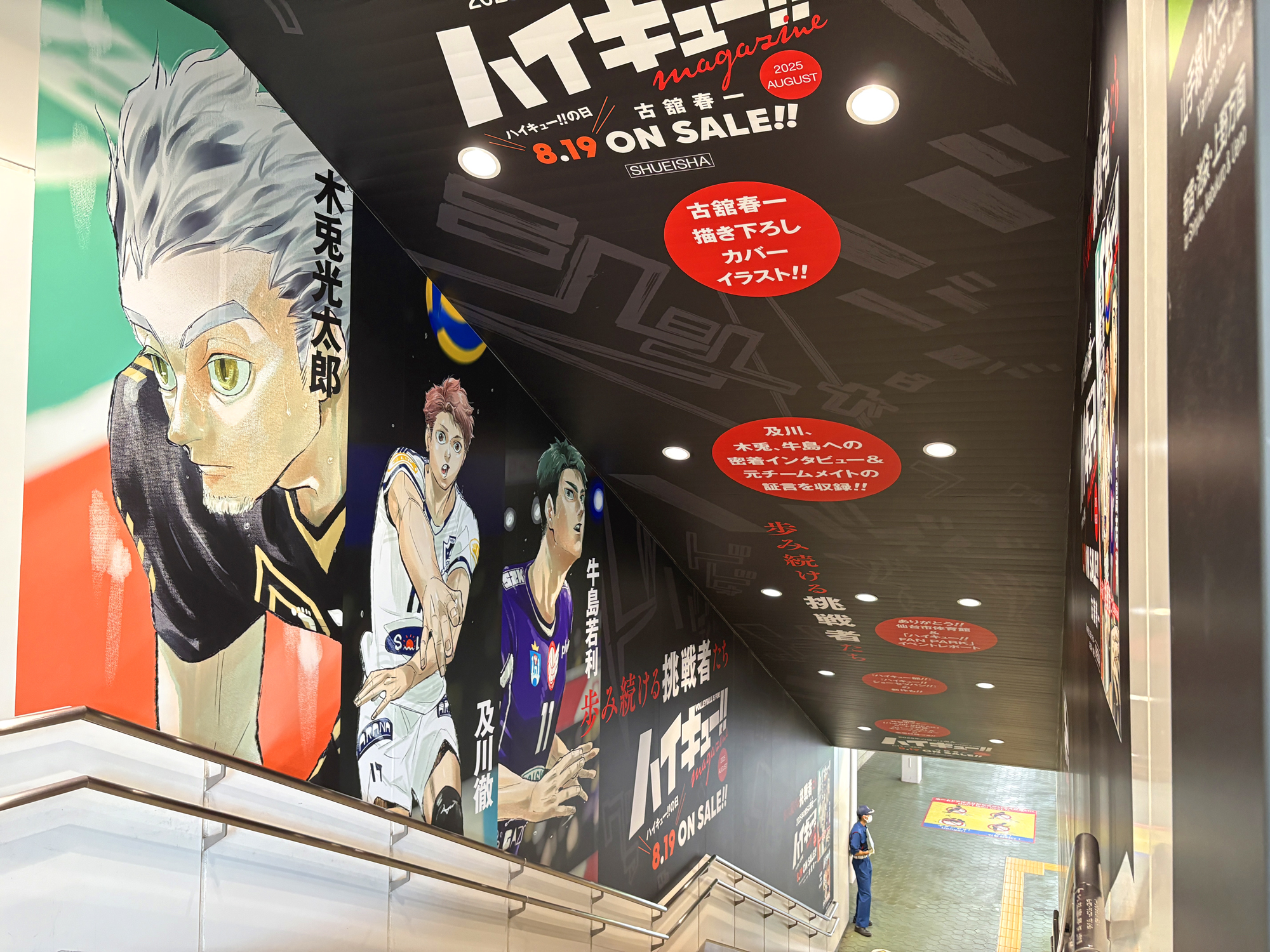 ナ*ツ様 ハイキュー（10-28.31-45）+他 ナ*ツ様 ハイキュー（10-28.31-45）+他 ハイキュー10周年記念展