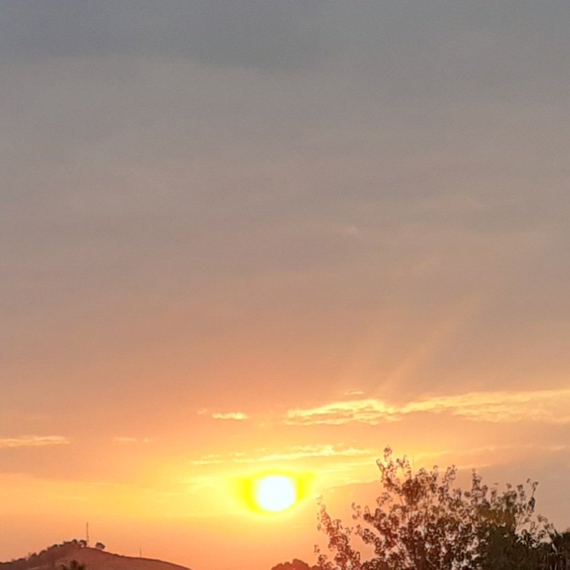 Agosto.
Contraponientes
de melocotón y azúcar,
y el sol dentro de la tarde,
como el hueso en una fruta.

La panocha guarda intacta
su risa amarilla y dura.

Agosto.
Los niños comen
pan moreno y rica luna.
Federico García Lorca 

18 de Agosto
#Ningúndíasinsuverso