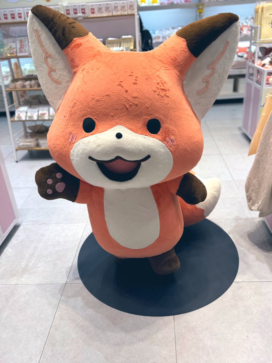 タンポォ tweet media