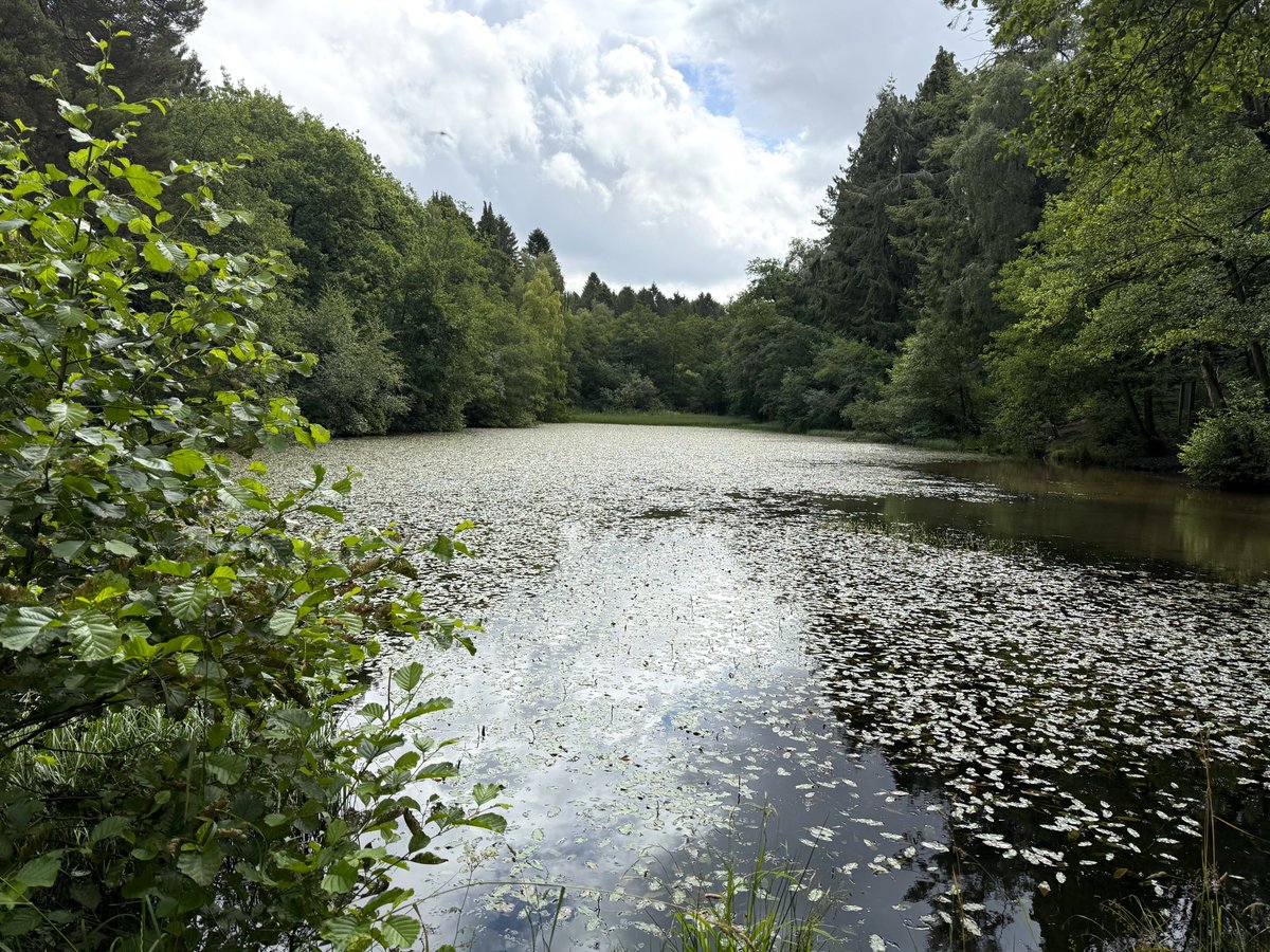 Good morning Twitter friends, welcome to the new week. Have a magnificent Monday #NorthYorkshire