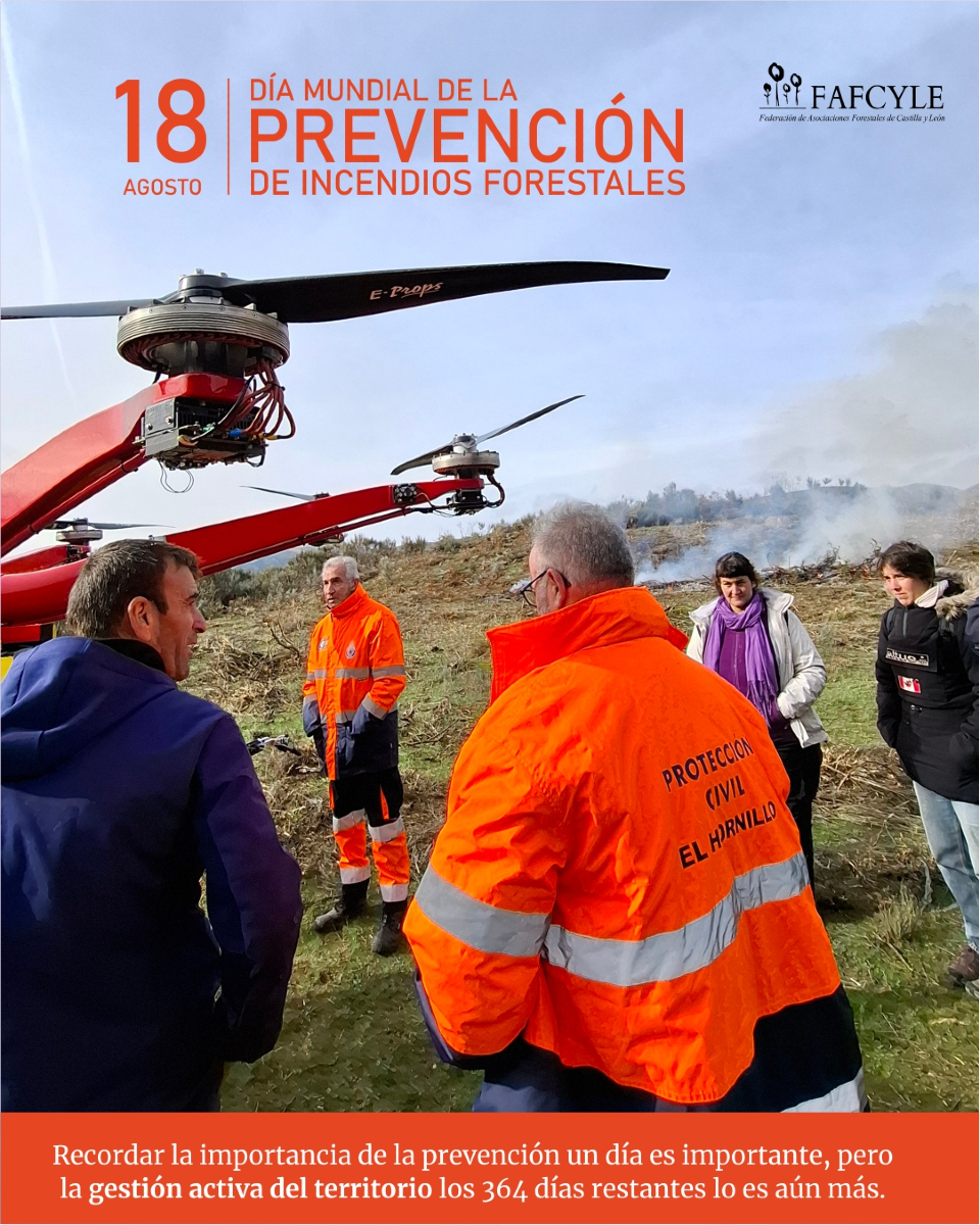 En #FAFCYLE apostamos por la prevención de incendios forestales con proyectos como #TREEADS. Tras 4 años de investigación, transferimos el conocimiento a nuestros asociados para mejorar la gestión y resiliencia de sus montes. 🌲🔥 #PrevenciónIncendios