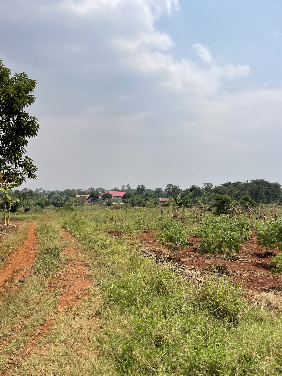 bruno_akampa's tweet image. Land.

Kakiri - 14M
Busiika - 16M
Kiwenda - 27M
Nakasajja - 28M

cc: @Absolproperties 
📞 0704408763