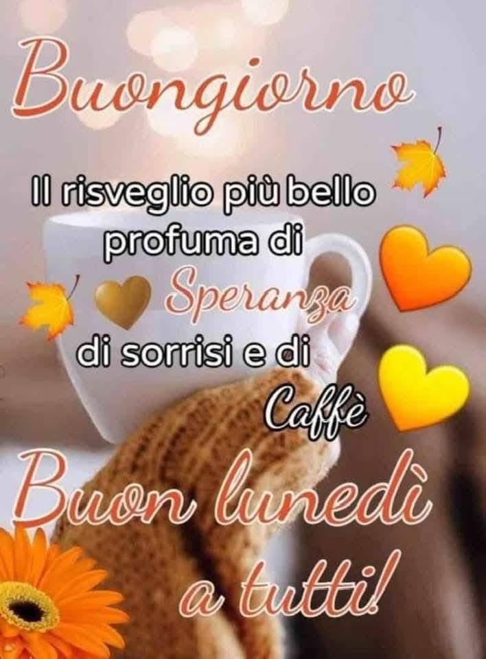 RITABIANCHi56 tweet media