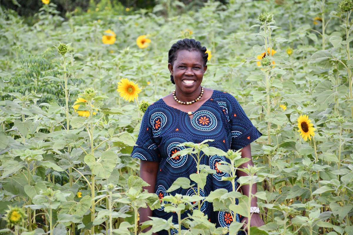WFP Uganda (@wfp_uganda) on Twitter photo I don’t want my children to suffer like I did,” says Vicky, 47. With support from <a href="/WFP/">World Food Programme</a> & <a href="/MastercardFdn/">Mastercard Foundation</a>, she cultivated sunflowers on rented land, increasing her yield to 50 bags.
With guaranteed markets, she earned enough to pay school fees and buy 30 acres of her own. I don’t want my children to suffer like I did,” says Vicky, 47. With support from <a href="/WFP/">World Food Programme</a> & <a href="/MastercardFdn/">Mastercard Foundation</a>, she cultivated sunflowers on rented land, increasing her yield to 50 bags.
With guaranteed markets, she earned enough to pay school fees and buy 30 acres of her own.