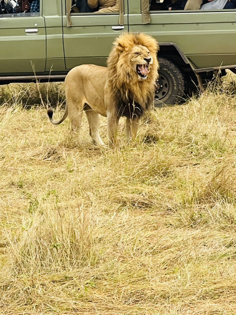 Early Mara mornings .