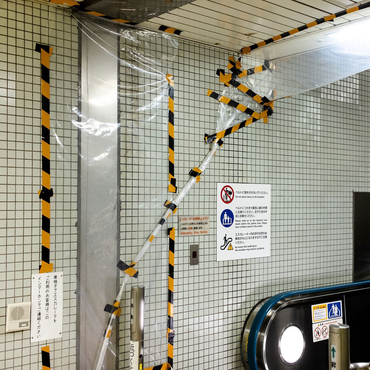 Lewis Bush tweet media