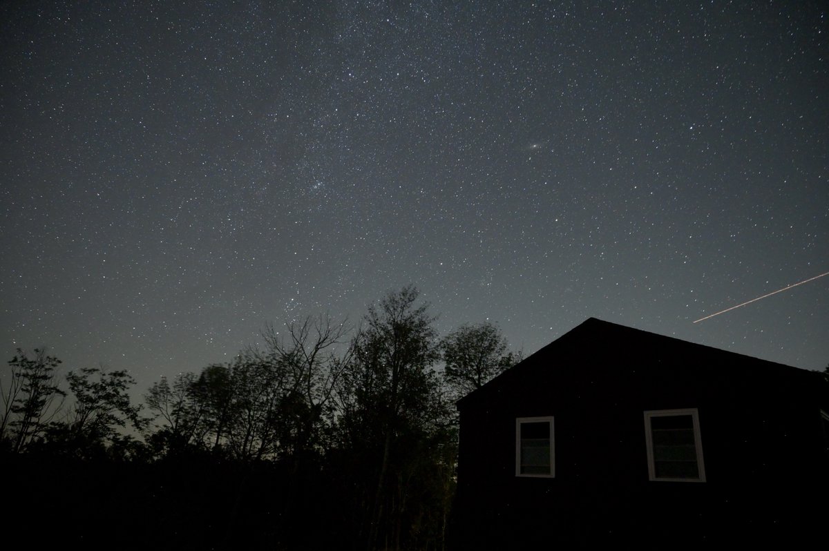 alexobenauer's tweet image. carpe noctem