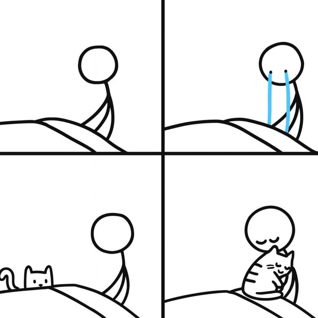 Kedilikler (@kedilikler) on Twitter photo 