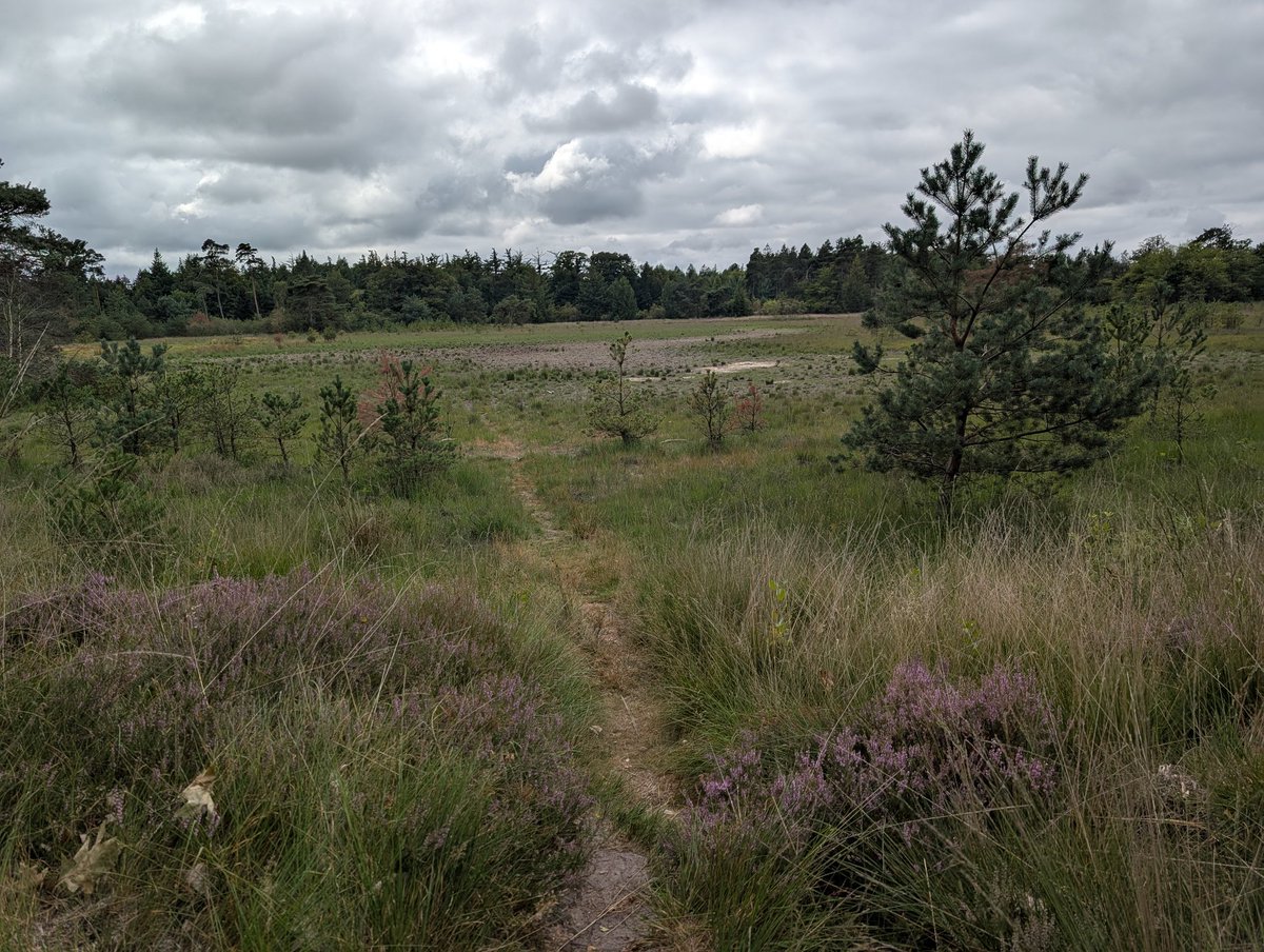 Goedemorgen allemaal, een nieuwe week, een nieuwe start. We genieten nog even van ons mooie landje.