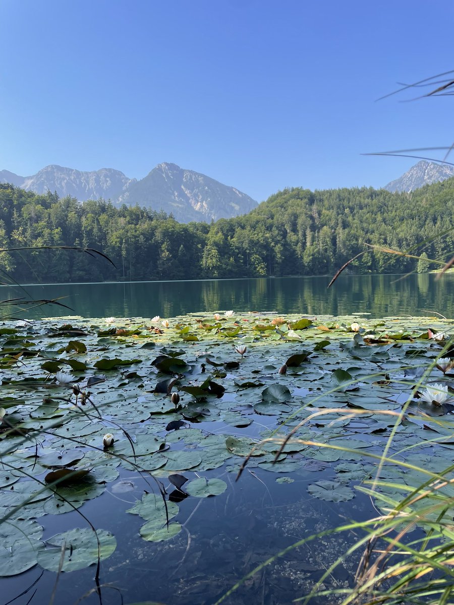 <a href="/ute_schlieper/">Ute Schlieper</a> Energy flows where attention goes!

Sonnige Grüße aus dem Allgäu, liebe Ute 😎