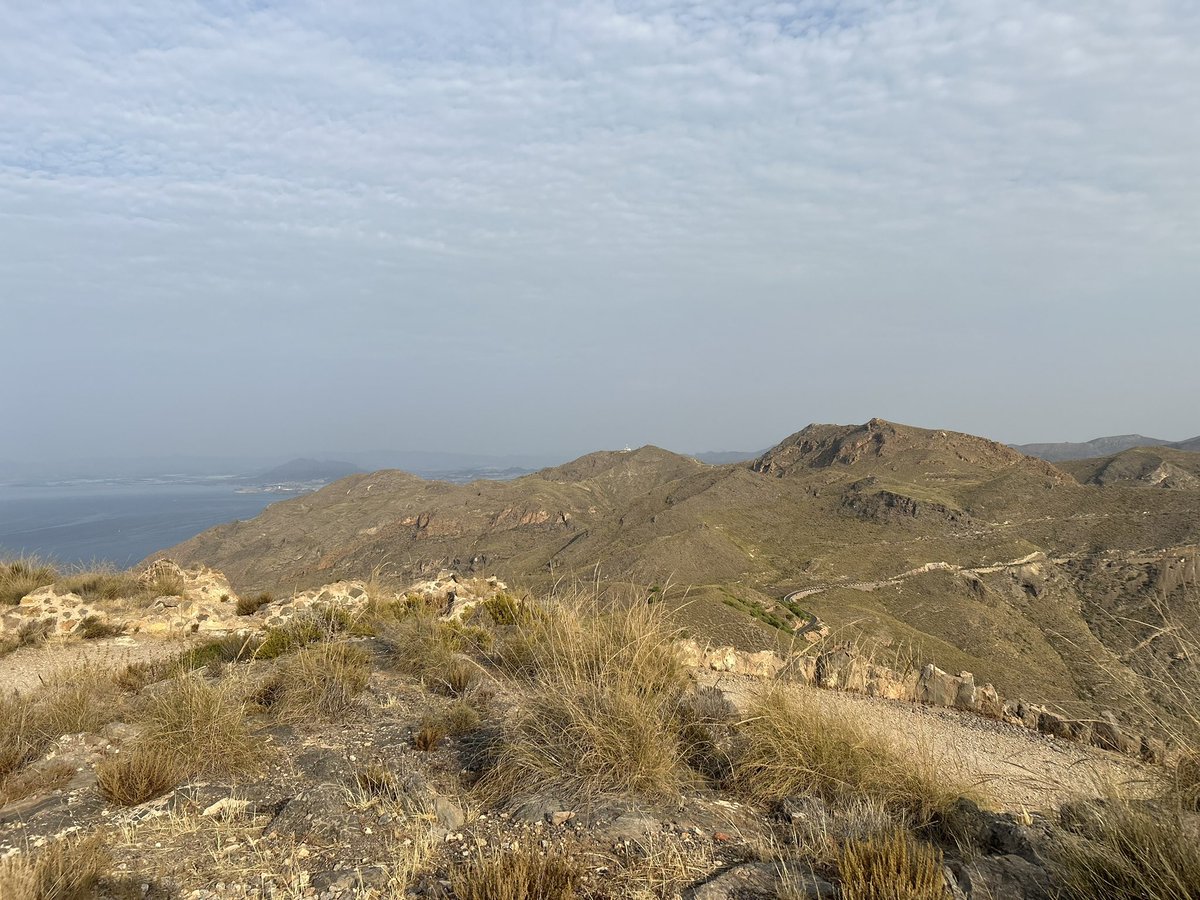 🅓🅐🅝🅘⚡️🅜🅐🅣🅐́🅢 tweet media