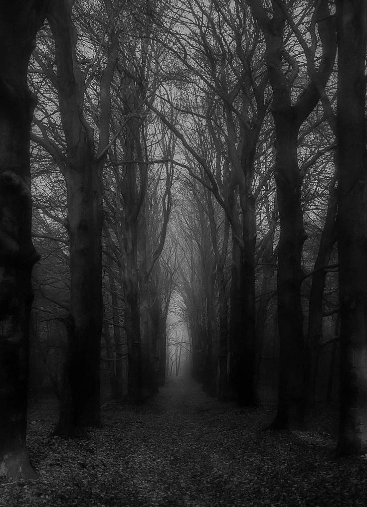 "عندما تُدرك بعقلك وقلبك أن من حق الآخر تركك تسير لوحدك في رحلتك لتغوص في الأعماق المظلمة لا يحفظك فيها من الغرق إلا رحمة الله"🖤